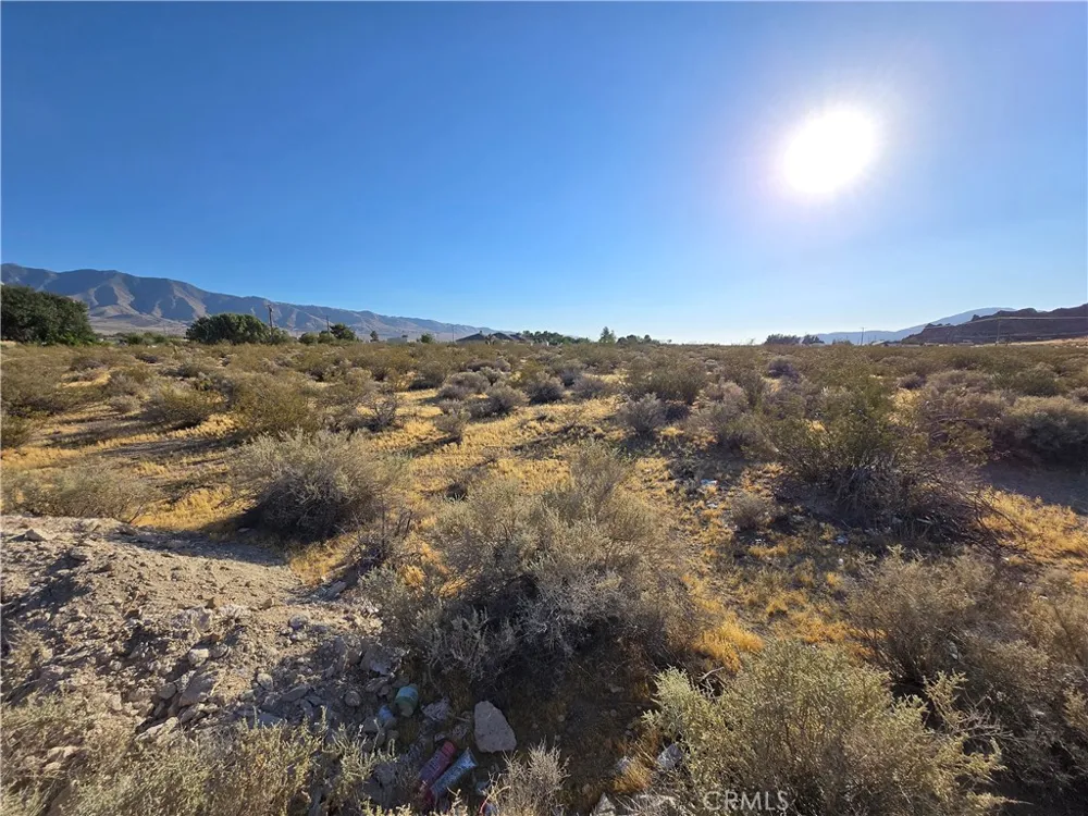 Custer Lucerne Valley, CA 92356