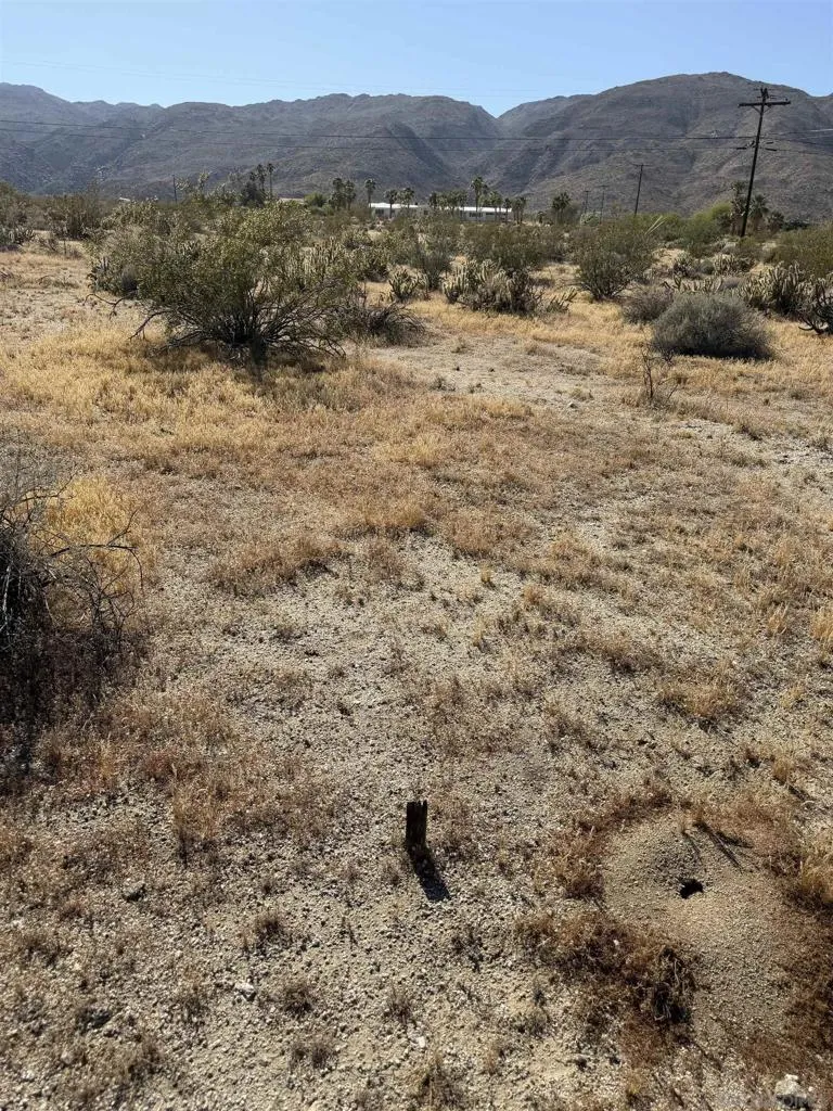 Broken Arrow Borrego Springs, CA 92004