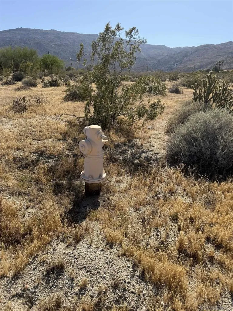 Broken Arrow Borrego Springs, CA 92004