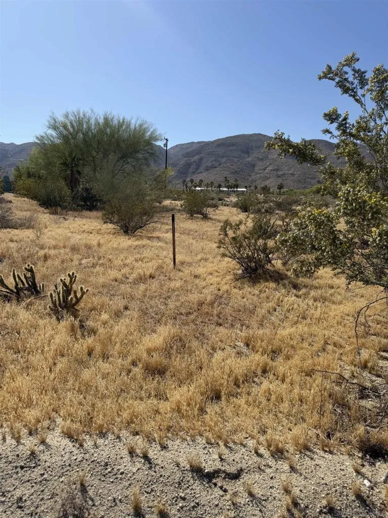 Broken Arrow Borrego Springs, CA 92004