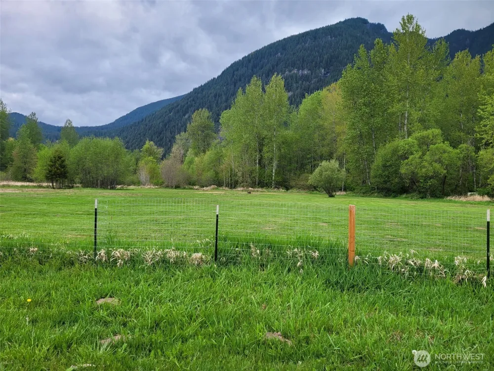 0 US Hwy 12 Randle, WA 98377