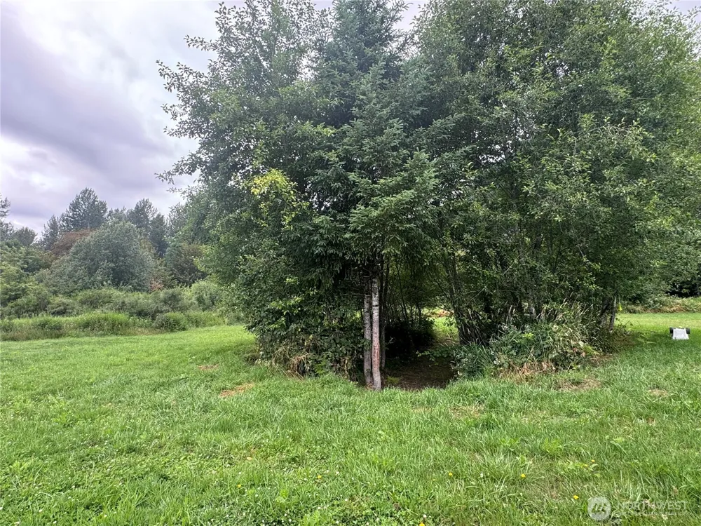 0 US Hwy 12 Randle, WA 98377
