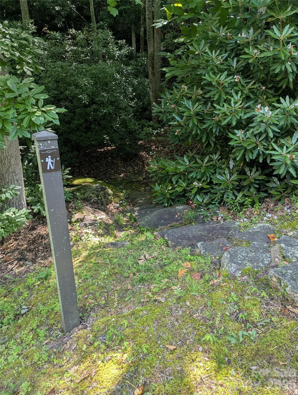 46 Settings Boulevard #139 Black Mountain, NC 28711
