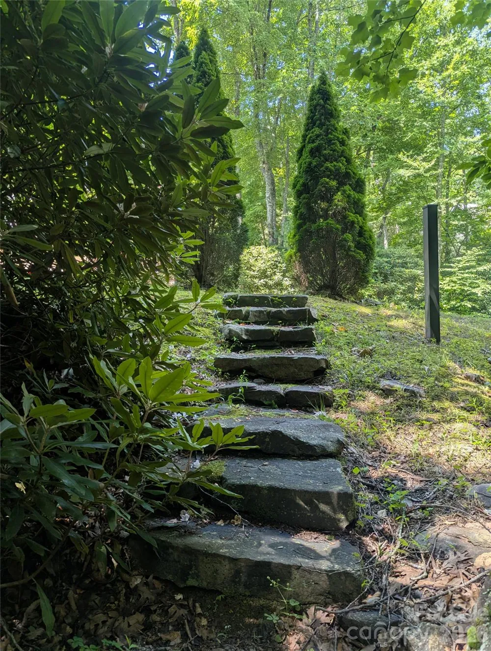 46 Settings Boulevard #139 Black Mountain, NC 28711