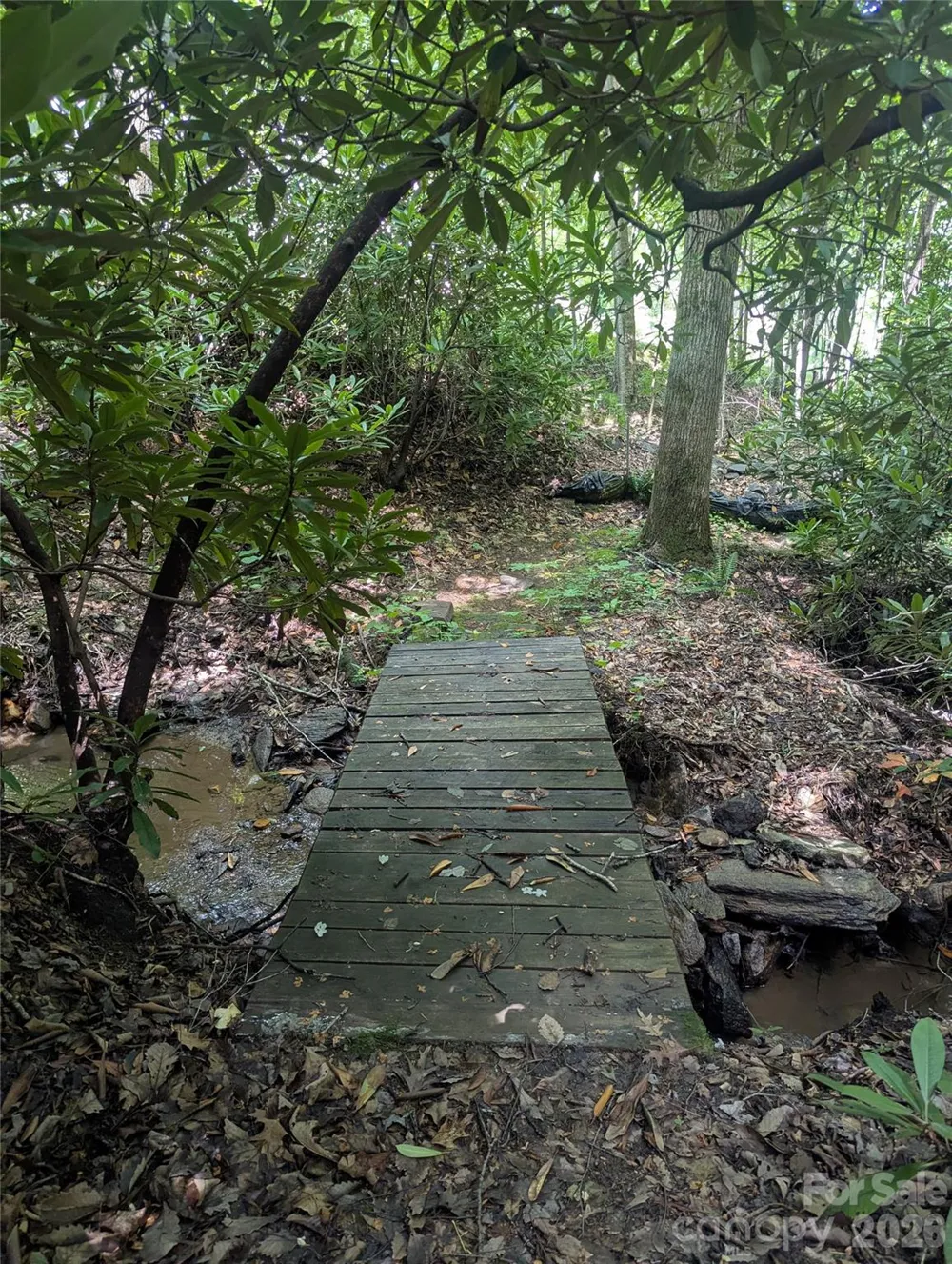 46 Settings Boulevard #139 Black Mountain, NC 28711