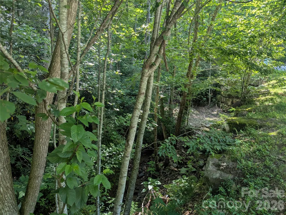46 Settings Boulevard #139 Black Mountain, NC 28711