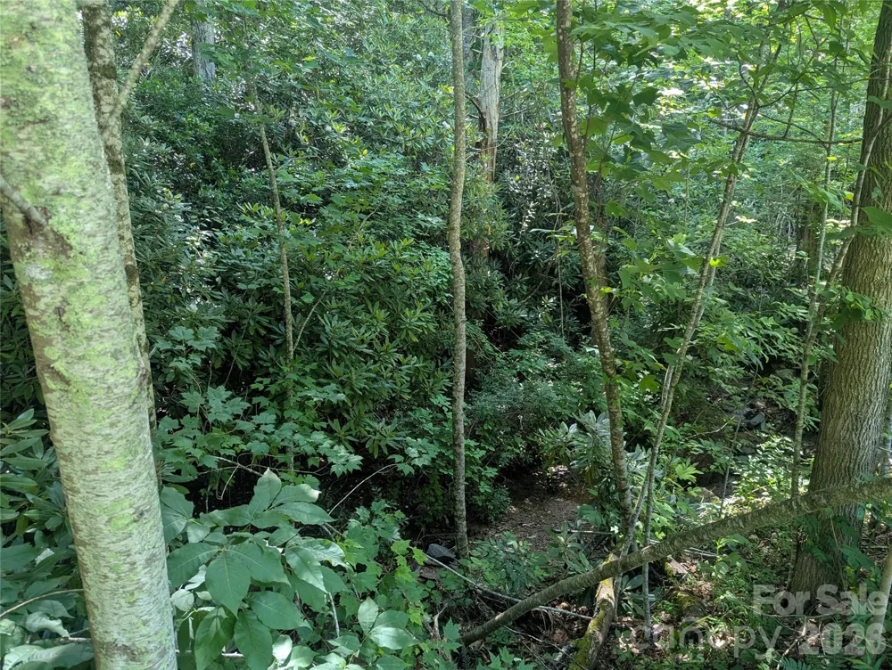 46 Settings Boulevard #139 Black Mountain, NC 28711