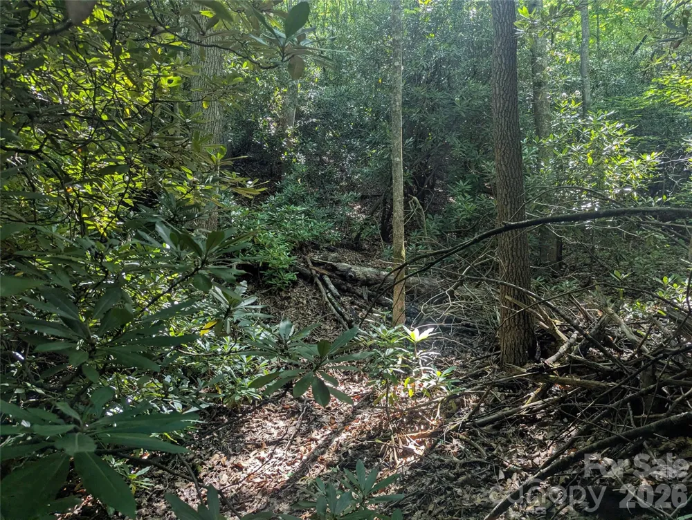 46 Settings Boulevard #139 Black Mountain, NC 28711