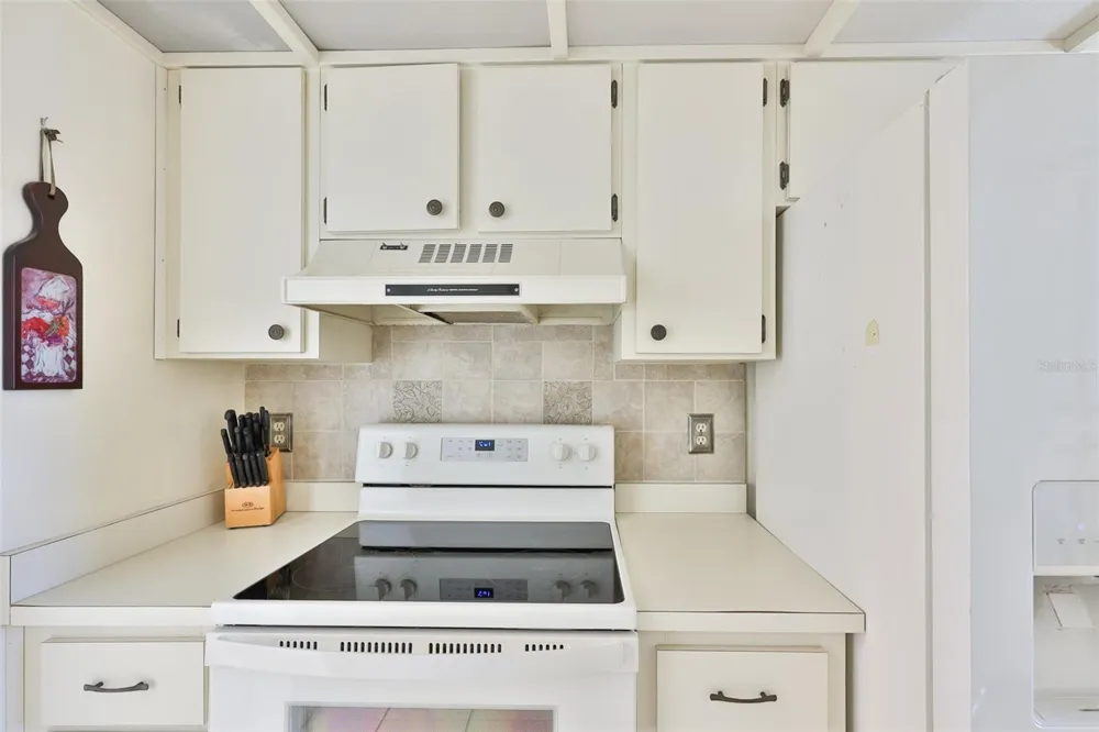 8703 BARDMOOR BOULEVARD #303 Seminole, FL 33777