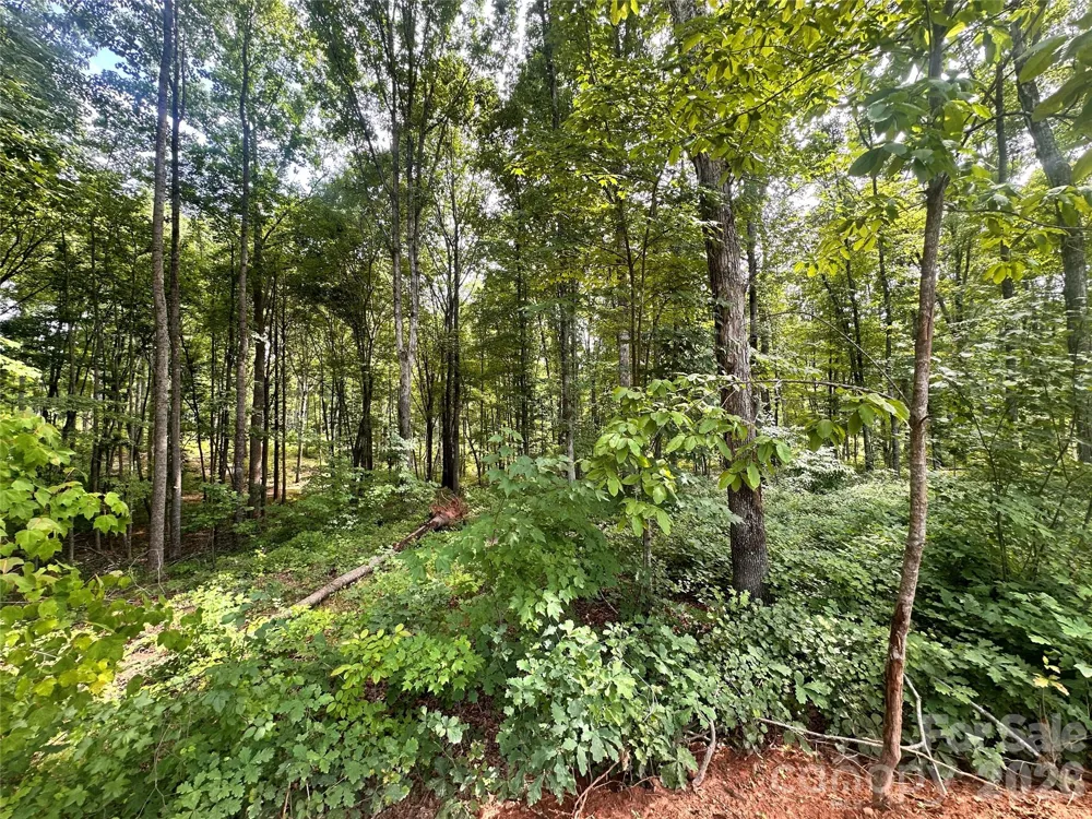0004 Bolton Road Catawba, NC 28609