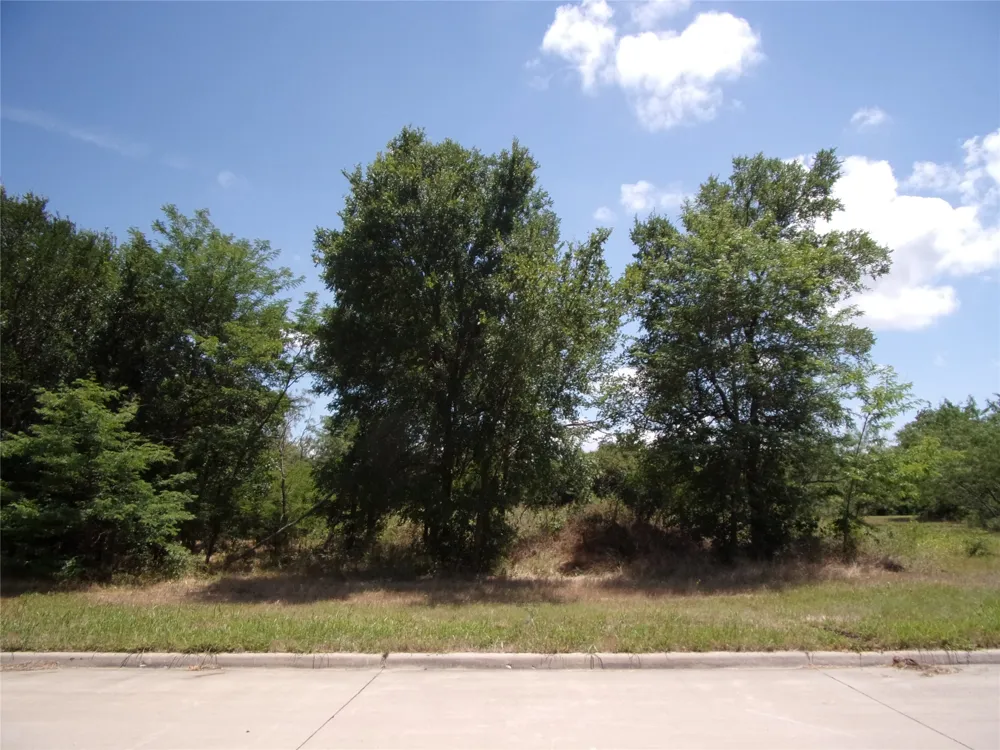 4172 Willow Oak Bend Royse City, TX 75189