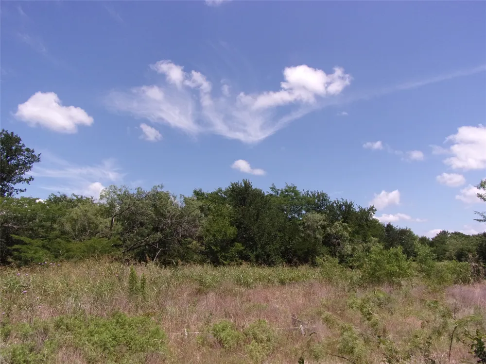 4172 Willow Oak Bend Royse City, TX 75189