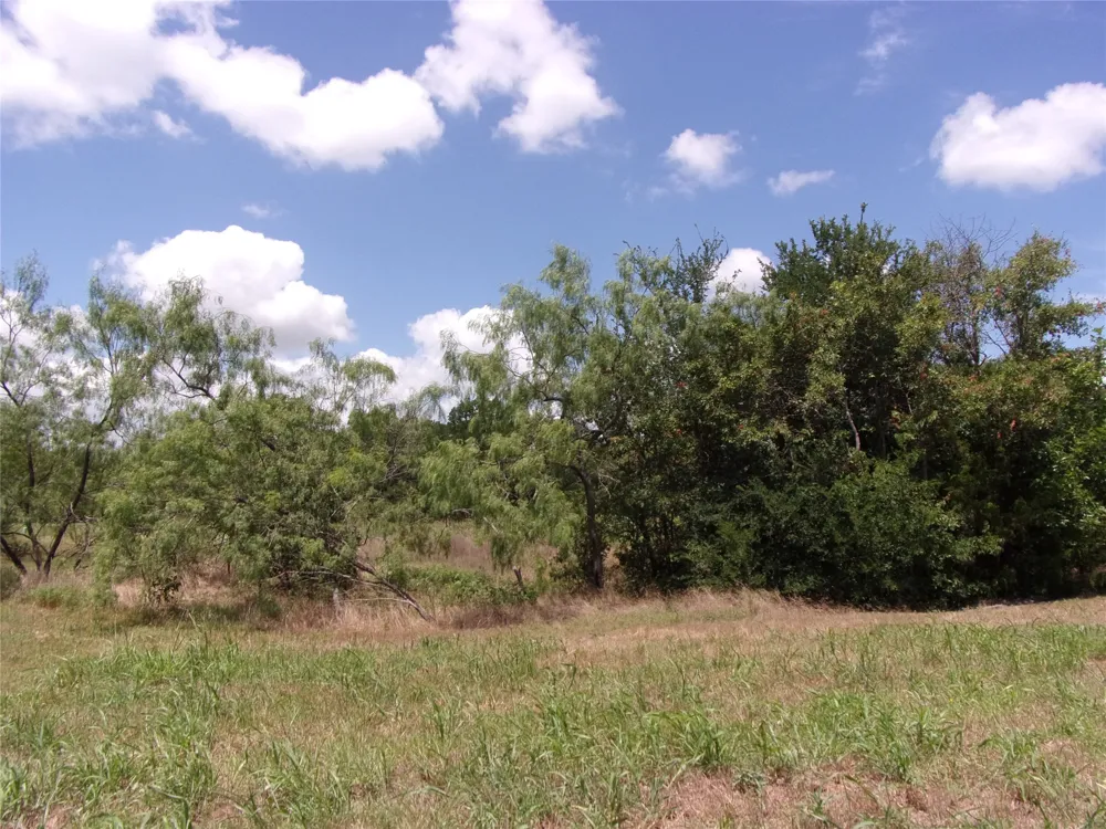4172 Willow Oak Bend Royse City, TX 75189