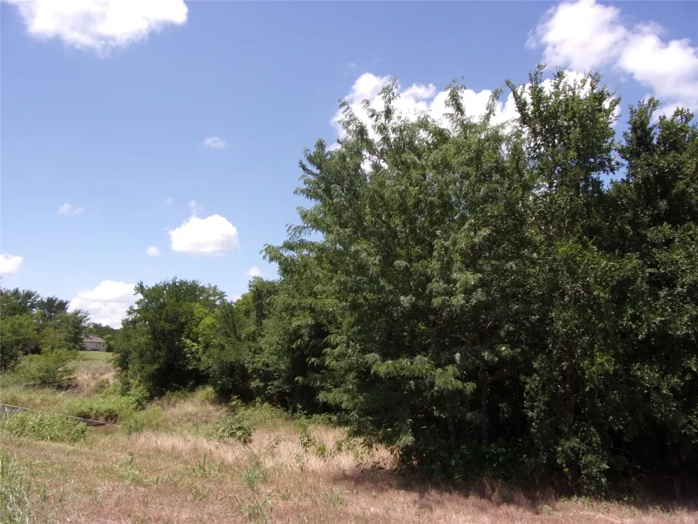 4172 Willow Oak Bend Royse City, TX 75189