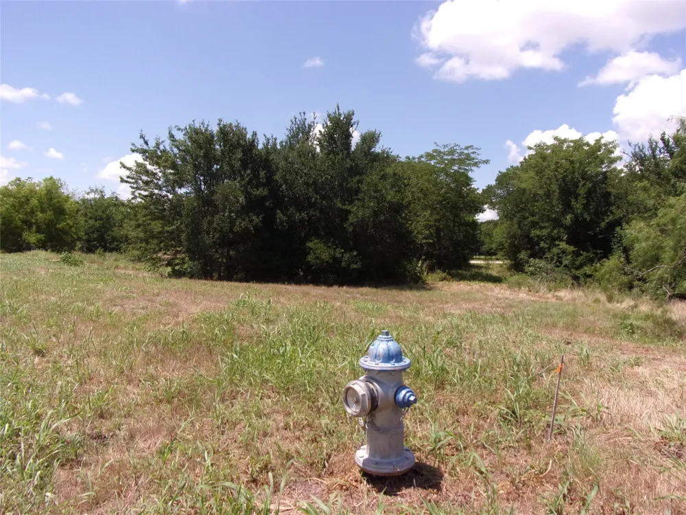 4172 Willow Oak Bend Royse City, TX 75189