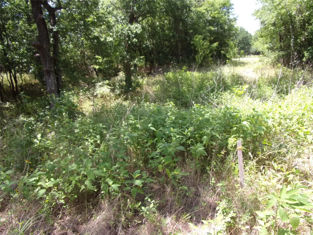 4172 Willow Oak Bend Royse City, TX 75189