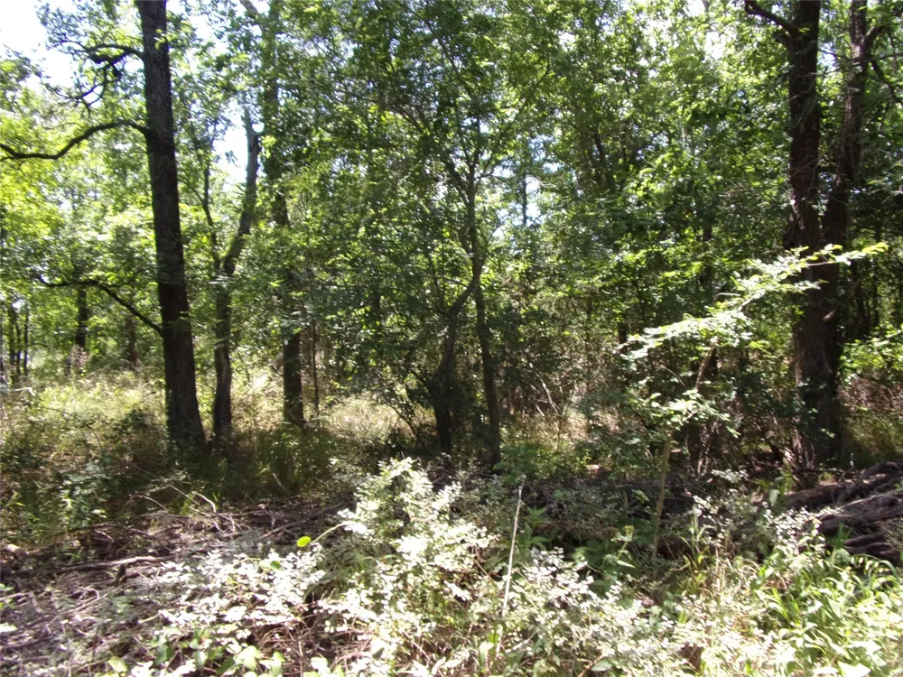 4172 Willow Oak Bend Royse City, TX 75189