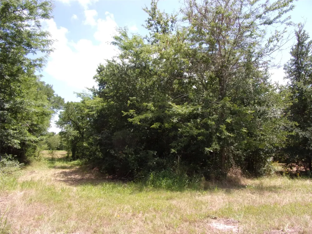 4172 Willow Oak Bend Royse City, TX 75189