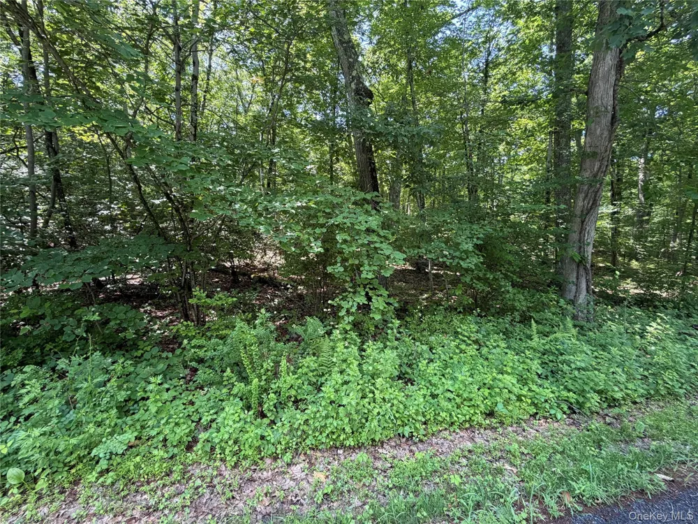 599 E Mountain Road Cold Spring, NY 10516