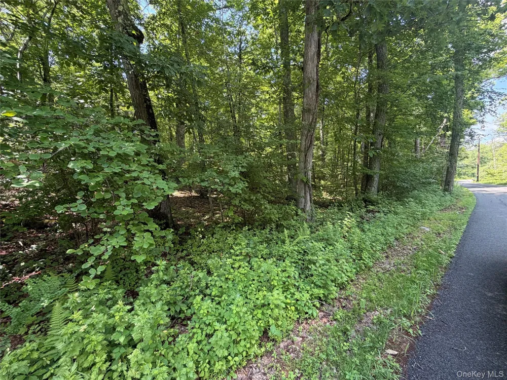 599 E Mountain Road Cold Spring, NY 10516