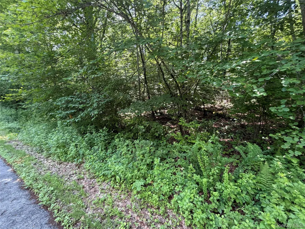599 E Mountain Road Cold Spring, NY 10516