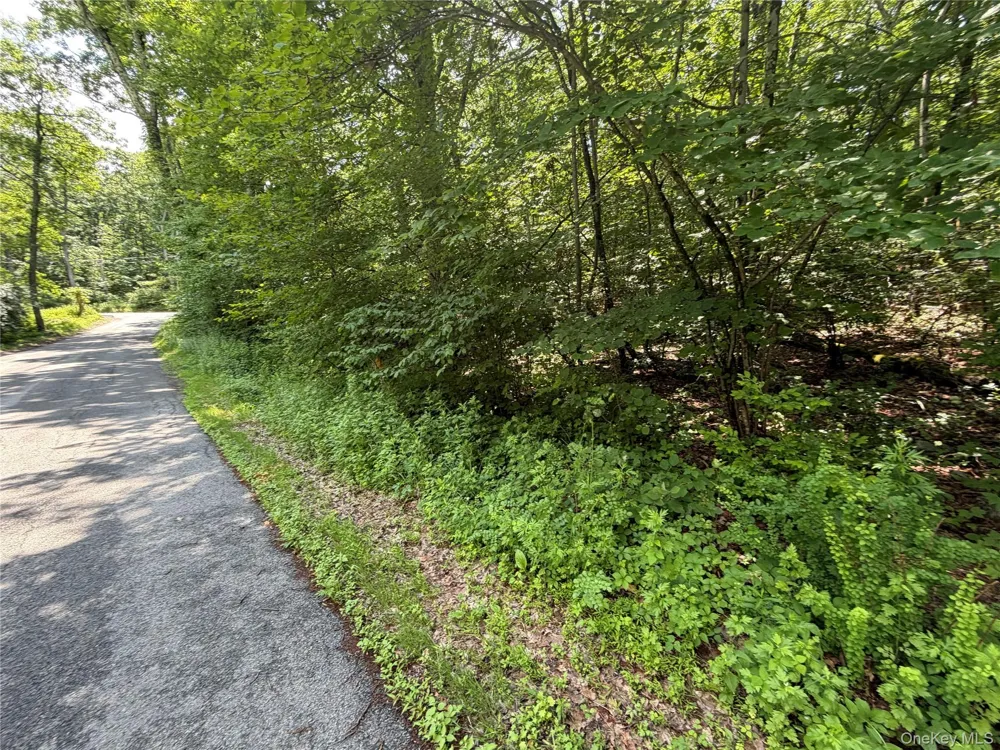 599 E Mountain Road Cold Spring, NY 10516