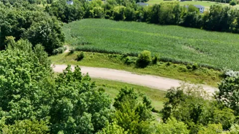 1 Sycamore St.