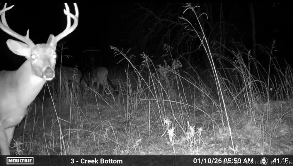 E 1100 ROAD Paden, OK 74860