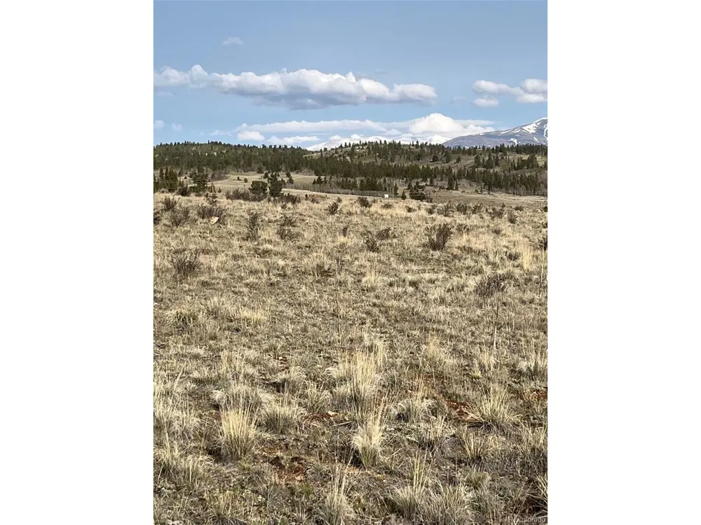 1441 Longbow Drive Como, CO 80432