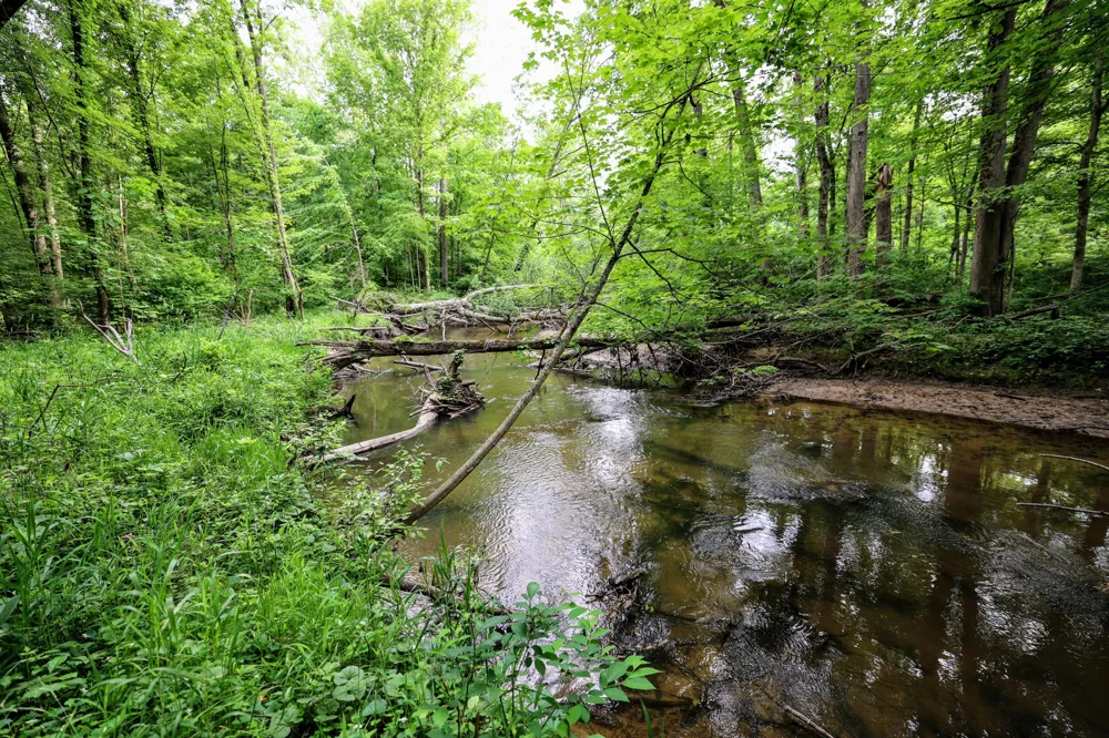 Black River Rd Bangor, MI 49013