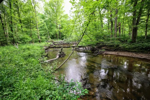 Black River Rd