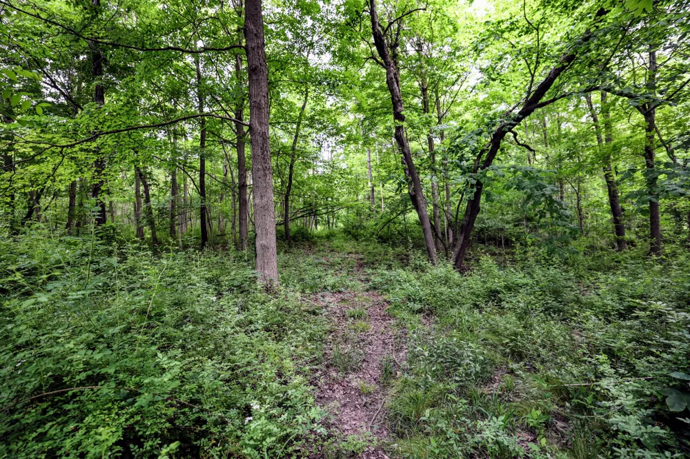 Black River Rd Bangor, MI 49013