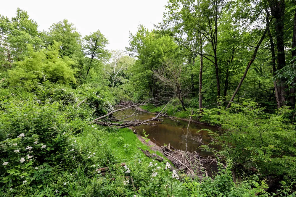 Black River Rd Bangor, MI 49013