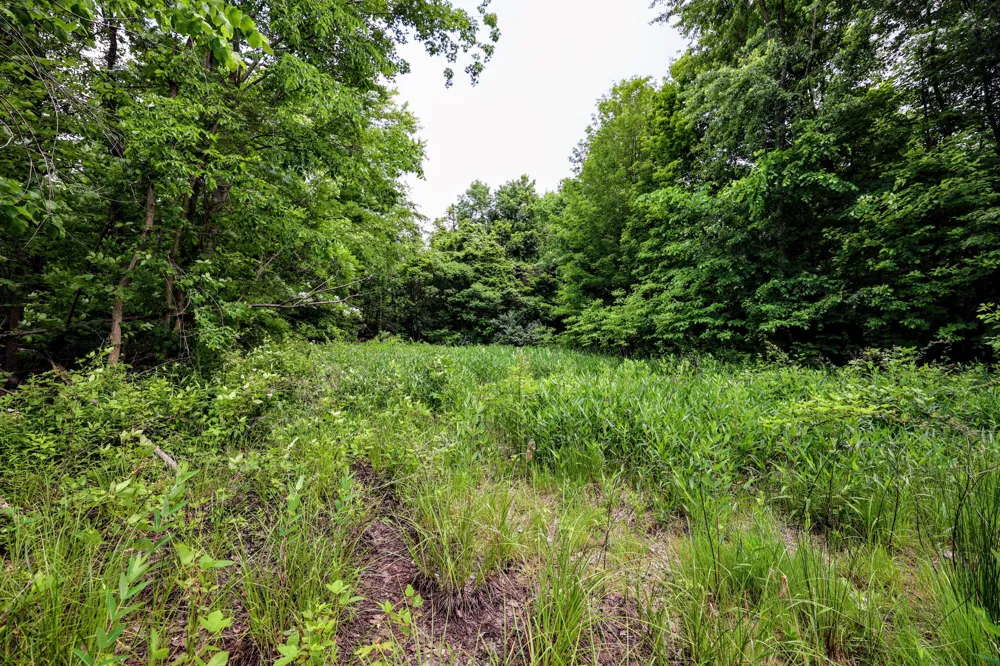 Black River Rd Bangor, MI 49013