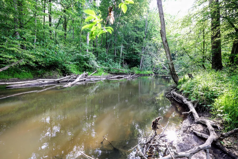 Black River Rd Bangor, MI 49013