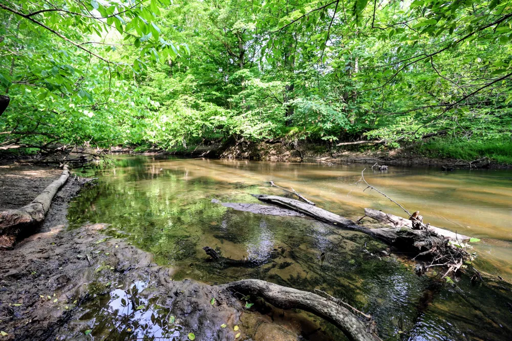 Black River Rd Bangor, MI 49013