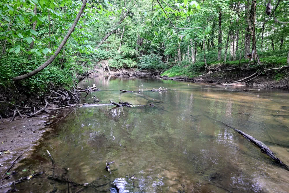 Black River Rd Bangor, MI 49013