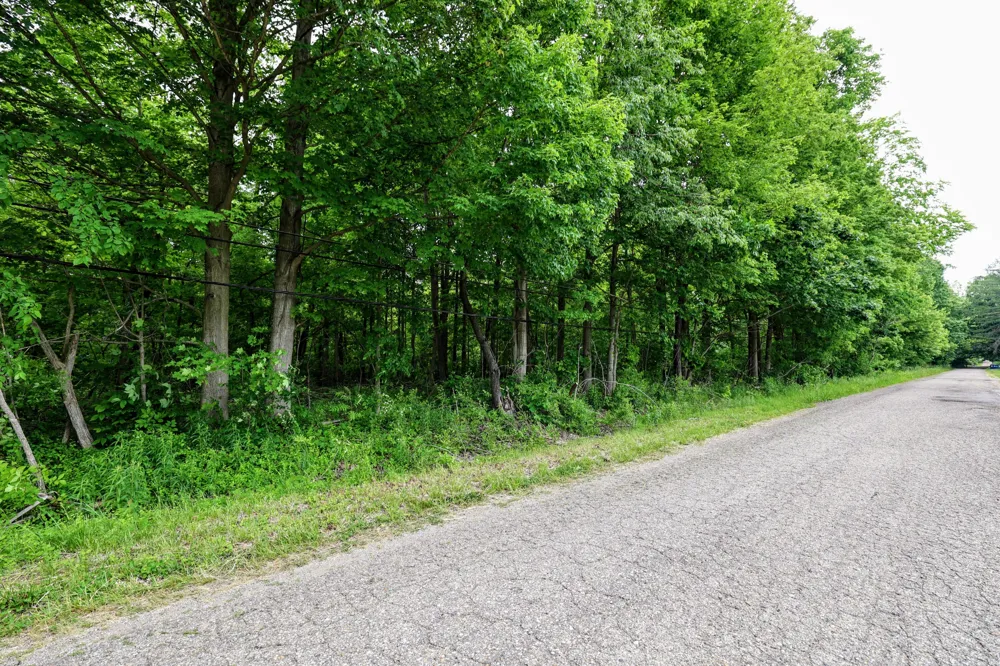 Black River Rd Bangor, MI 49013
