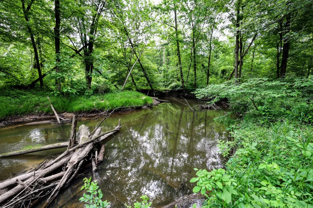 Black River Rd Bangor, MI 49013