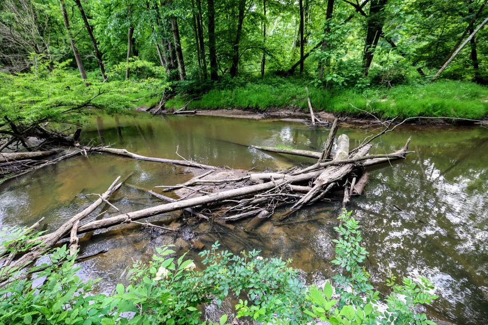 Black River Rd Bangor, MI 49013