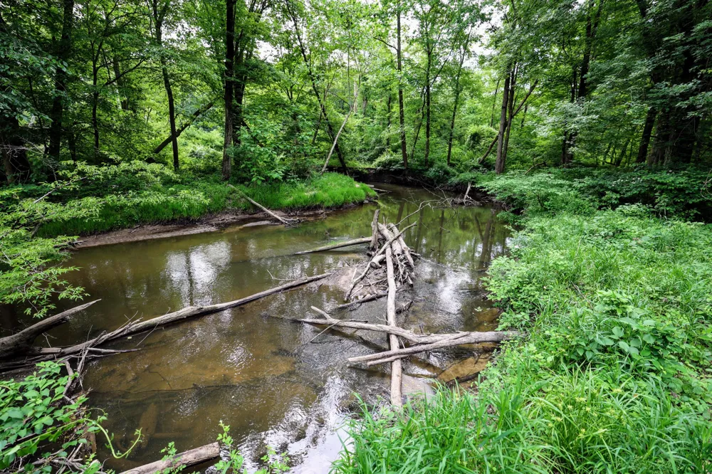 Black River Rd Bangor, MI 49013