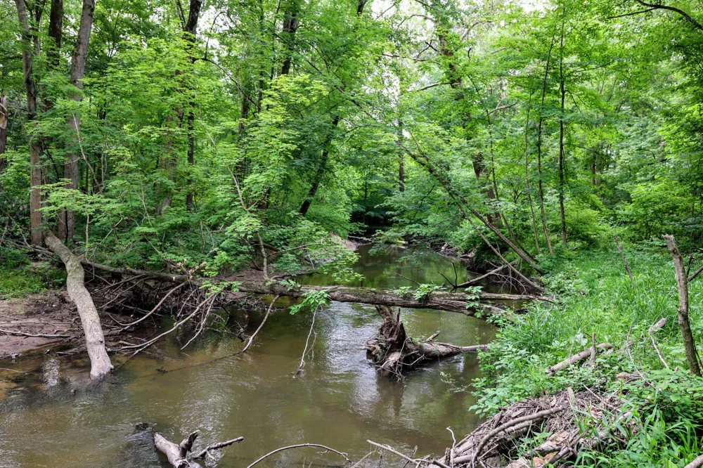 Black River Rd Bangor, MI 49013