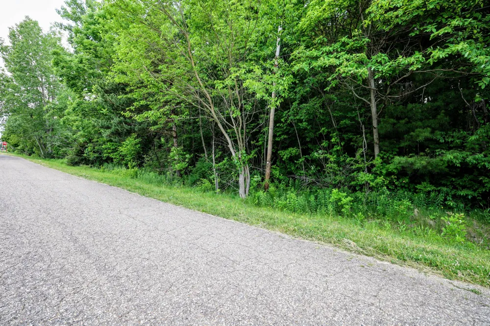 Black River Rd Bangor, MI 49013