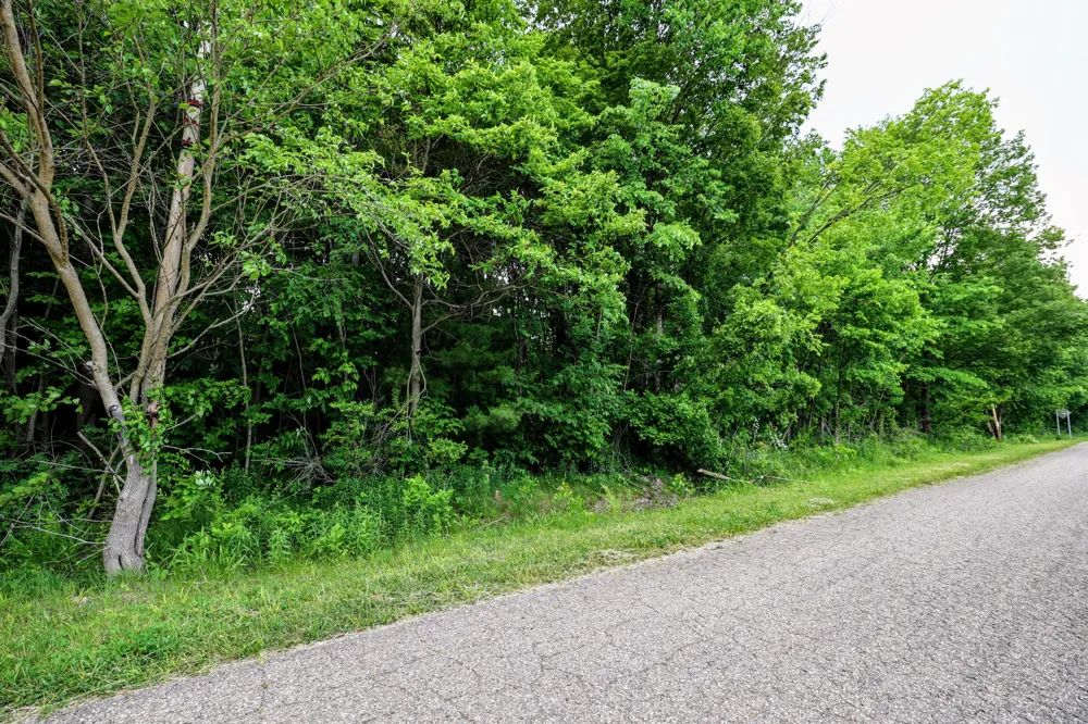 Black River Rd Bangor, MI 49013