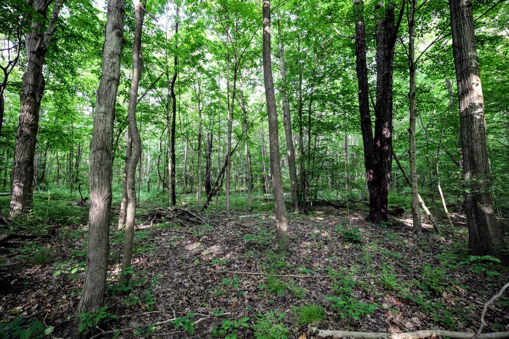 Black River Rd Bangor, MI 49013