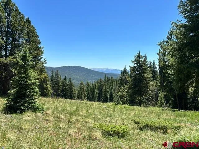 4 Diamond Drive Pitkin, CO 81241