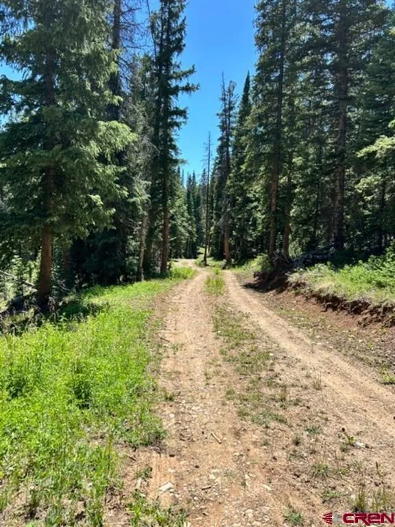 4 Diamond Drive Pitkin, CO 81241