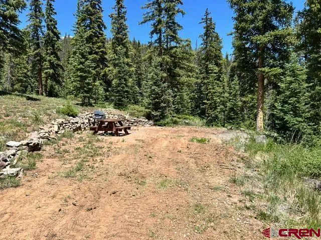 4 Diamond Drive Pitkin, CO 81241