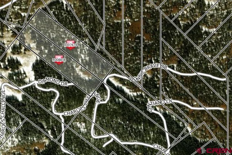 4 Diamond Drive Pitkin, CO 81241