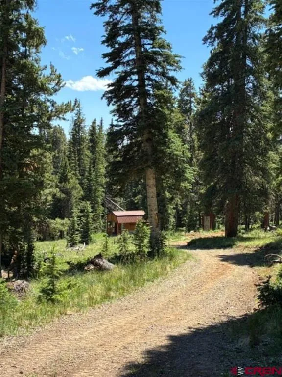 4 Diamond Drive Pitkin, CO 81241